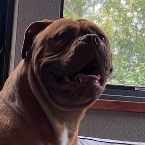 Meet your Posher, Edilio